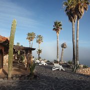 IMG 0001 2 (110)